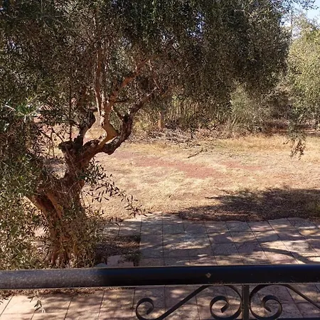 Holiday home Ilektras House Mavrommation
