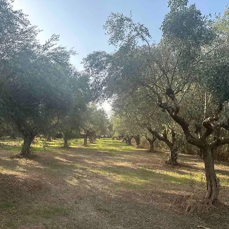 Ilektras Haus Semesterbostad Mavrommati (Messini, Messenia)
