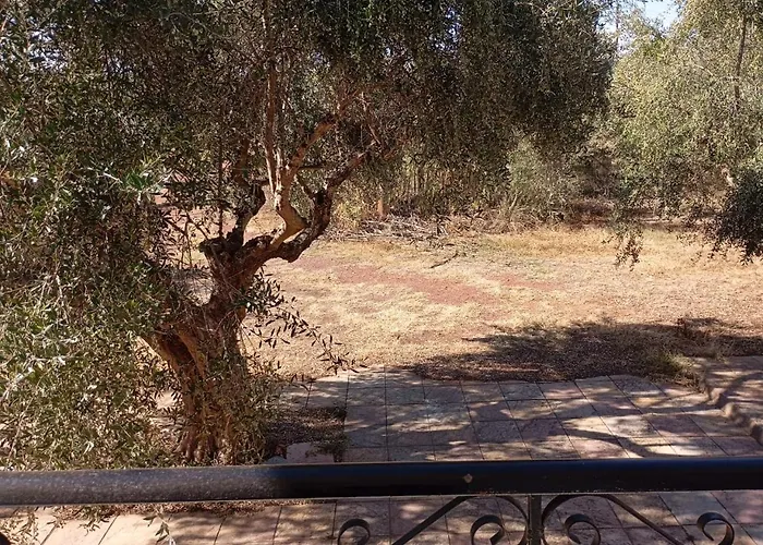 別荘 Ilektras Haus Mavrommati (Messini, Messenia)