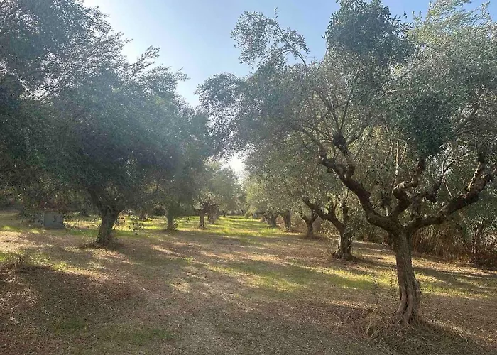 Ilektras Haus 別荘 Mavrommati (Messini, Messenia)